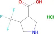 4-(trifluoromethyl)pyrrolidine-3-carboxylic acid hydrochloride