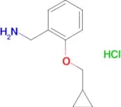 1-[2-(cyclopropylmethoxy)phenyl]methanamine hydrochloride