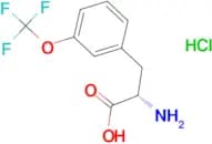 3-(trifluoromethoxy)-L-phenylalanine hydrochloride