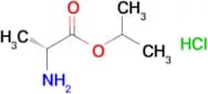 H-D-Ala-OiPr.HCl