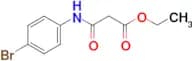 N-(4-Bromo-phenyl)-malonamic acid ethyl ester