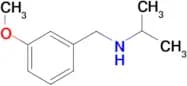 [(3-methoxyphenyl)methyl](propan-2-yl)amine