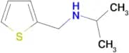 (propan-2-yl)[(thiophen-2-yl)methyl]amine