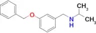 {[3-(benzyloxy)phenyl]methyl}(propan-2-yl)amine