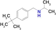 [(4-tert-butylphenyl)methyl](propan-2-yl)amine