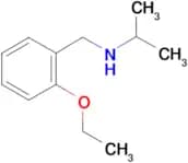 [(2-ethoxyphenyl)methyl](propan-2-yl)amine