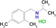 [(2,4-dimethylphenyl)methyl](propan-2-yl)amine hydrochloride