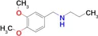 [(3,4-dimethoxyphenyl)methyl](propyl)amine