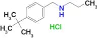 [(4-tert-butylphenyl)methyl](propyl)amine hydrochloride