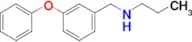 [(3-phenoxyphenyl)methyl](propyl)amine