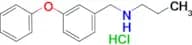 [(3-phenoxyphenyl)methyl](propyl)amine hydrochloride