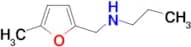 [(5-methylfuran-2-yl)methyl](propyl)amine