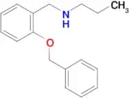 {[2-(benzyloxy)phenyl]methyl}(propyl)amine