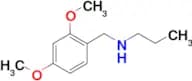 [(2,4-dimethoxyphenyl)methyl](propyl)amine