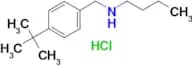 butyl[(4-tert-butylphenyl)methyl]amine hydrochloride