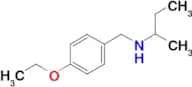 (butan-2-yl)[(4-ethoxyphenyl)methyl]amine