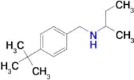 (butan-2-yl)[(4-tert-butylphenyl)methyl]amine