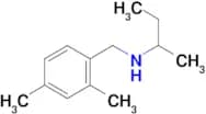 (butan-2-yl)[(2,4-dimethylphenyl)methyl]amine