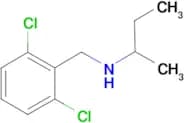 (butan-2-yl)[(2,6-dichlorophenyl)methyl]amine