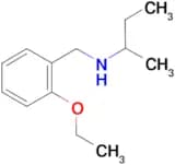 (butan-2-yl)[(2-ethoxyphenyl)methyl]amine