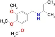 (butan-2-yl)[(3,4,5-trimethoxyphenyl)methyl]amine