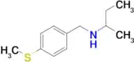 (butan-2-yl)({[4-(methylsulfanyl)phenyl]methyl})amine