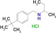(butan-2-yl)[(4-tert-butylphenyl)methyl]amine hydrochloride
