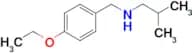 [(4-ethoxyphenyl)methyl](2-methylpropyl)amine