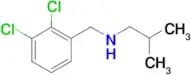 [(2,3-dichlorophenyl)methyl](2-methylpropyl)amine