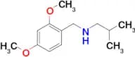 [(2,4-dimethoxyphenyl)methyl](2-methylpropyl)amine