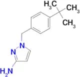 1-[(4-tert-butylphenyl)methyl]-1H-pyrazol-3-amine