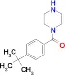 1-(4-tert-butylbenzoyl)piperazine