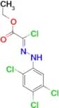 ethyl (2Z)-2-chloro-2-[2-(2,4,5-trichlorophenyl)hydrazin-1-ylidene]acetate