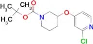 TERT-BUTYL 3-(2-CHLOROPYRIDIN-4-YLOXY)PIPERIDINE-1-CARBOXYLATE