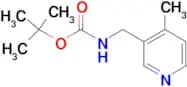 (4-METHYL-PYRIDIN-3-YLMETHYL)-CARBAMIC ACID TERT-BUTYL ESTER