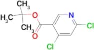 TERT-BUTYL 4,6-DICHLORONICOTINATE