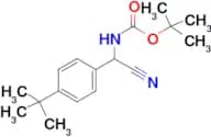 TERT-BUTYL N-[(4-TERT-BUTYLPHENYL)(CYANO)METHYL]CARBAMATE