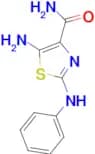 5-AMINO-2-ANILINO-1,3-THIAZOLE-4-CARBOXAMIDE