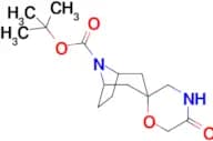 TERT-BUTYL 5′-OXO-8-AZASPIRO[BICYCLO[3.2.1]OCTANE-3,2′-MORPHOLINE]-8-CARBOXYLATE