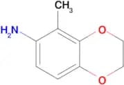 5-METHYL-2,3-DIHYDRO-1,4-BENZODIOXIN-6-AMINE