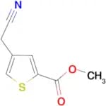 METHYL 4-(CYANOMETHYL)THIOPHENE-2-CARBOXYLATE