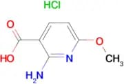2-AMINO-6-METHOXYNICOTINIC ACID HCL