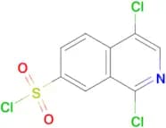 7-ISOQUINOLINESULFONYL CHLORIDE, 1,4-DICHLORO-