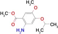 METHYL 2-AMINO-5-METHOXY-4-PROPAN-2-YLOXYBENZOATE