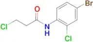 N-(4-BROMO-2-CHLOROPHENYL)-3-CHLOROPROPANAMIDE