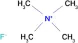 TETRAMETHYLAMMONIUM FLUORIDE