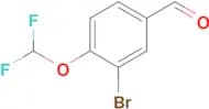 3-BROMO-4-(DIFLUOROMETHOXY)BENZALDEHYDE