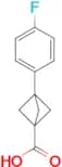 3-(4-FLUOROPHENYL)BICYCLO[1.1.1]PENTANE-1-CARBOXYLIC ACID