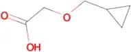 (CYCLOPROPYLMETHOXY)ACETIC ACID