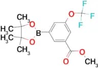 METHYL 3-(4,4,5,5-TETRAMETHYL-1,3,2-DIOXABOROLAN-2-YL)-5-(TRIFLUOROMETHOXY)BENZOATE